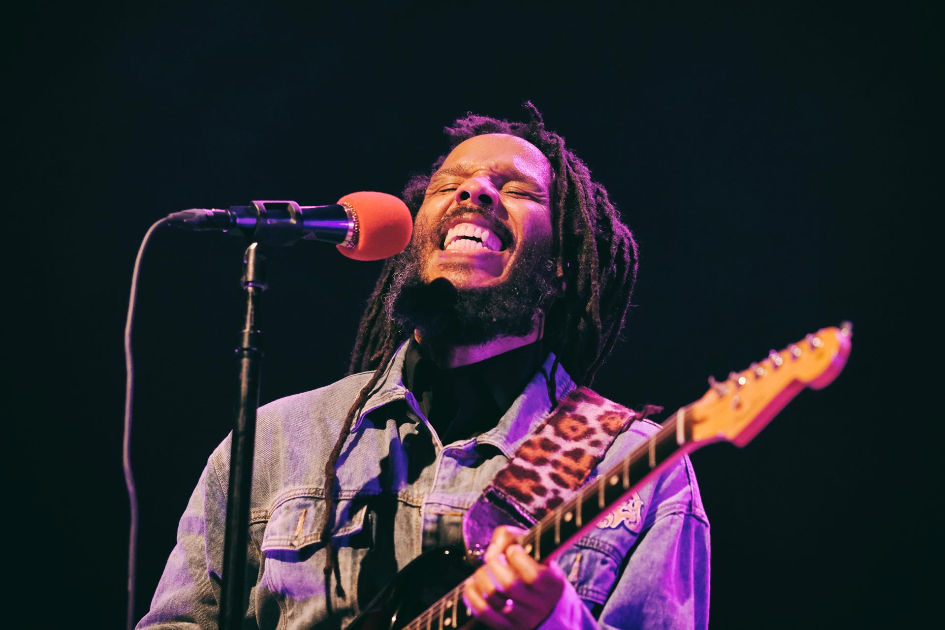 Ziggy Marley